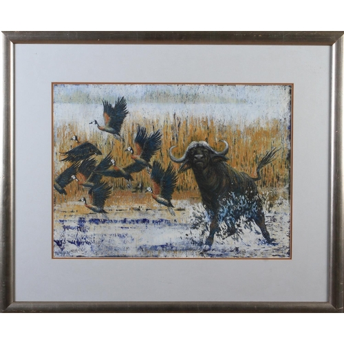 66 - ARR Elva Palombo (20th century), Water buffalo and waterfowl, mixed media, signed and dated (19)96 t... 