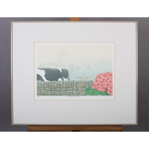 107 - John Jones (Contemporary), Sea Fret and Hydrangea, reduction lino print in full colour, limited edit... 