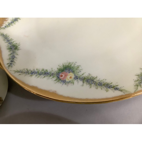 14 - A Silesia hand painted tea service, the cream ground edged in gilt and delicately painted with flora... 