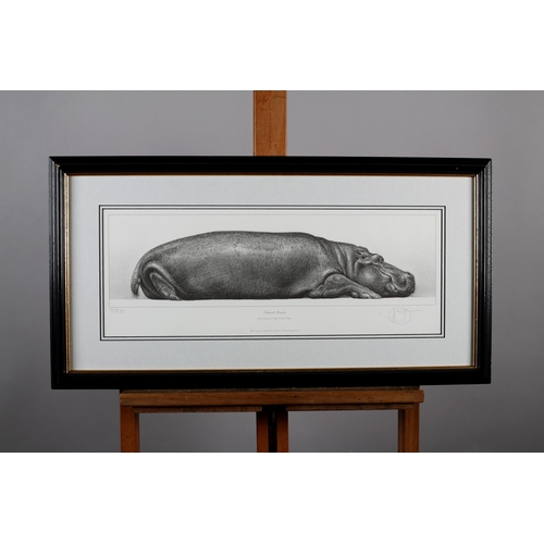 58 - ARR By and After Gary Hodges (b.1954), Tropical Slumber, study of a hippo, lithograph no 579/850, si... 