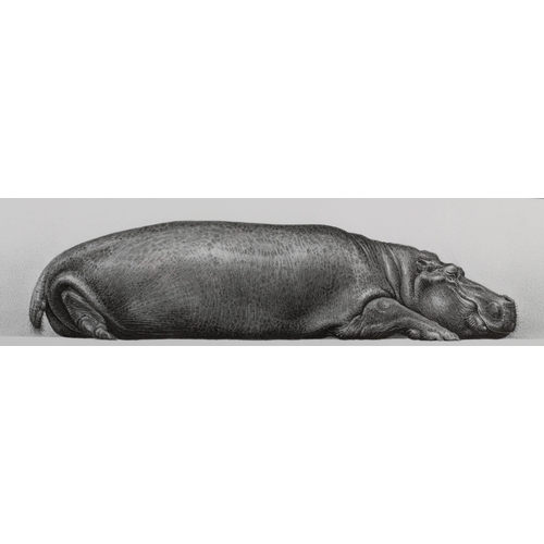 58 - ARR By and After Gary Hodges (b.1954), Tropical Slumber, study of a hippo, lithograph no 579/850, si... 