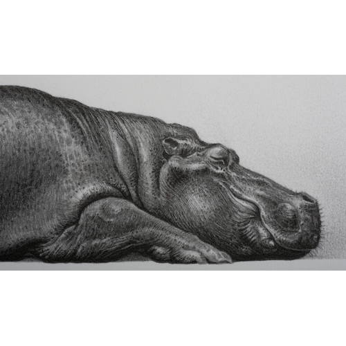 58 - ARR By and After Gary Hodges (b.1954), Tropical Slumber, study of a hippo, lithograph no 579/850, si... 