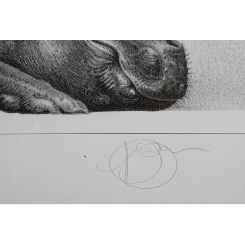 58 - ARR By and After Gary Hodges (b.1954), Tropical Slumber, study of a hippo, lithograph no 579/850, si... 