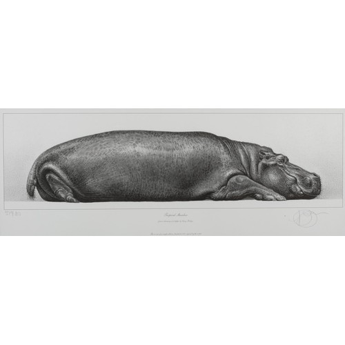 58 - ARR By and After Gary Hodges (b.1954), Tropical Slumber, study of a hippo, lithograph no 579/850, si... 