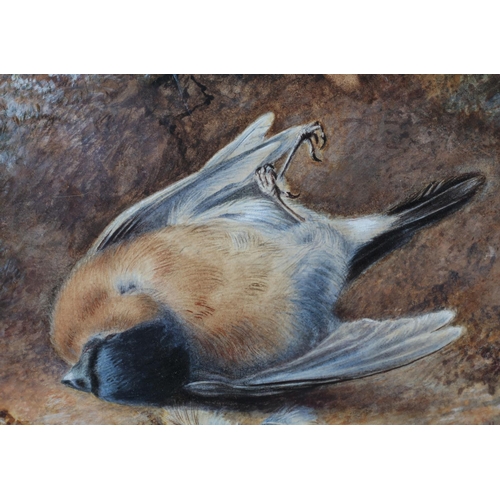 26 - Mary A Hull (19th century) Fallen Finch, watercolour, signed to lower right, oval, 15cm x 18.5cm