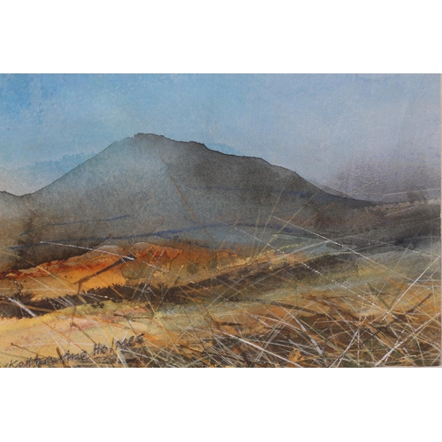 235 - ARR KATHERINE HOLMES (b1962), In The Long Grass, Looking Towards Flasby Fell, watercolour and ink on... 