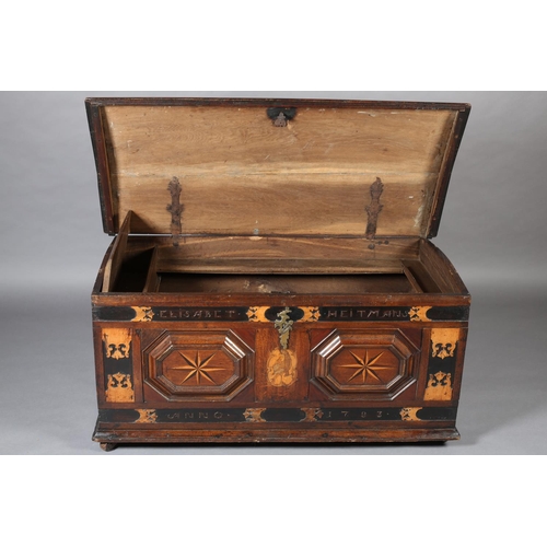 381 - AN 18TH CENTURY DUTCH COLONIAL TEAK AND EBONY TRUNK, having a low domed lid and twin panels to the f... 