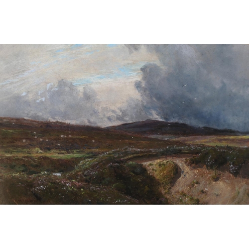 383 - THOMAS WILLIAM HAMMOND (1854-1935), Yorkshire Moors with sheep grazing, pastel, signed to lower left... 