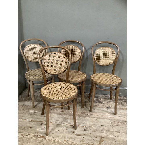 403 - A set of four bentwood and begere caned dining chairs