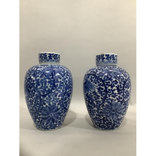 38 - A pair of 19th Century Chinese blue and white vases and covers, ovoid, painted in underglaze blue wi... 