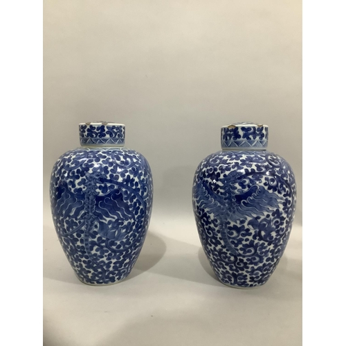 38 - A pair of 19th Century Chinese blue and white vases and covers, ovoid, painted in underglaze blue wi... 