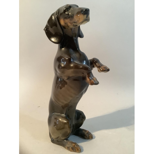 4 - A Hutschenreuther porcelain figure of a Dachshund on hind legs, mark to base, 17cm high