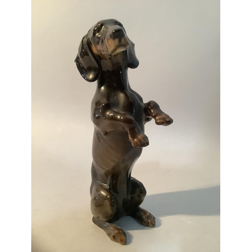 4 - A Hutschenreuther porcelain figure of a Dachshund on hind legs, mark to base, 17cm high