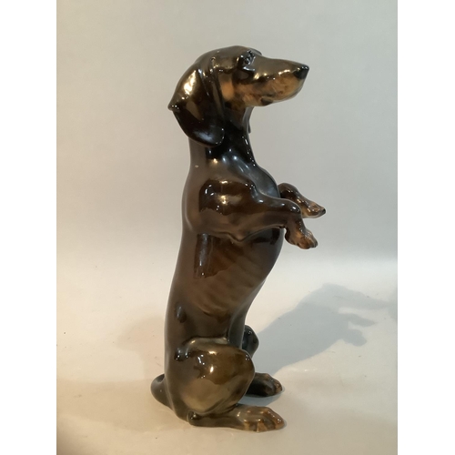 4 - A Hutschenreuther porcelain figure of a Dachshund on hind legs, mark to base, 17cm high