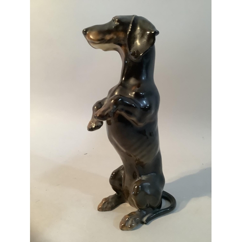 4 - A Hutschenreuther porcelain figure of a Dachshund on hind legs, mark to base, 17cm high