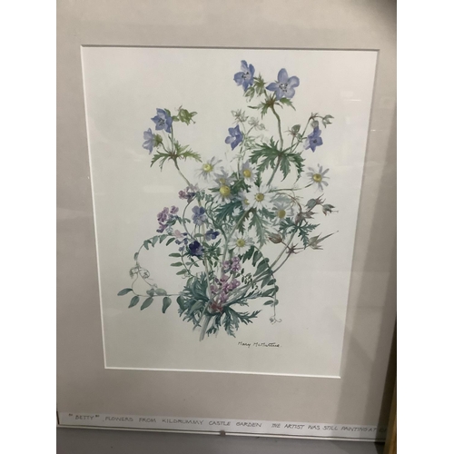 267 - A pair of botanical lithographs by Antoine Chazal 35cm x 27cm, with a botanical study in watercolour... 