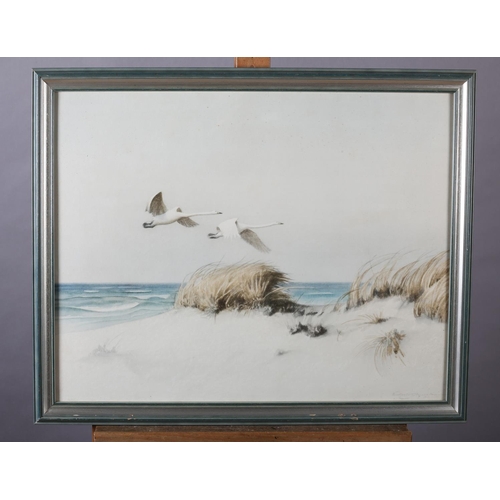 163 - D Olsy (?), early 20th century Hooper swans in flight over dunes, watercolour, indistinctly signed t... 