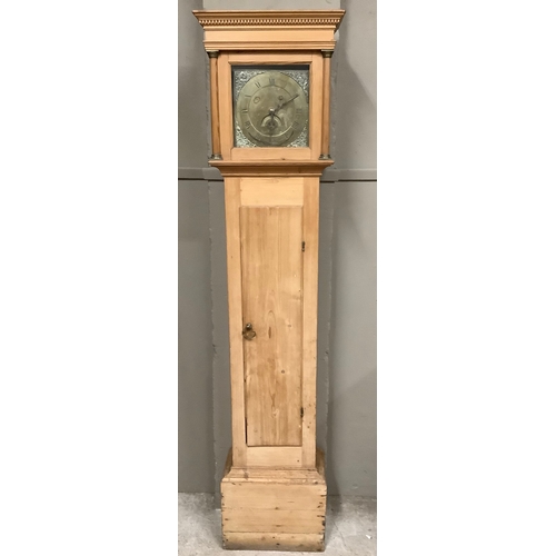 136 - A stripped pine long case clock, 199cm high