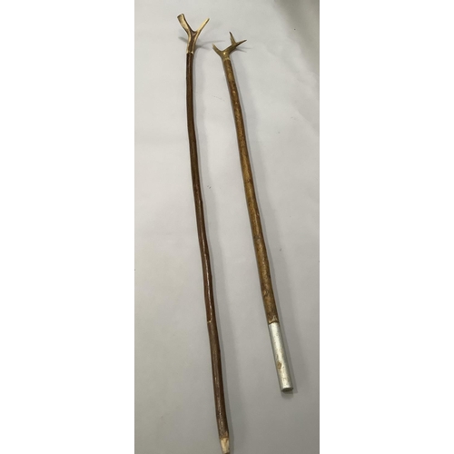 141 - Two long walking sticks with antler handles