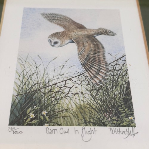 331 - After D. M. Hinchliff, Barn owl in Flight and Pheasant in Flight, limited colour prints, 261/850 and... 