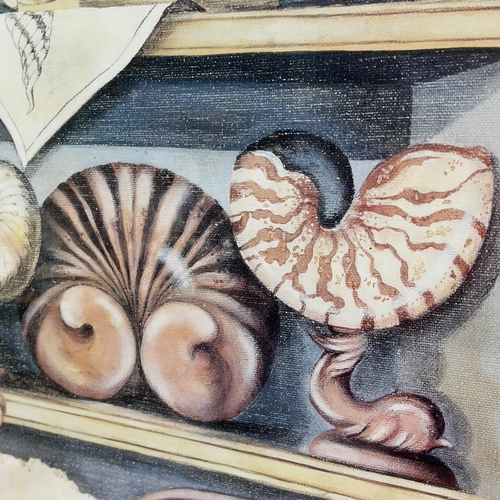 321 - Seashells, colour print, gilt frame, 110cm x 71cm with frame