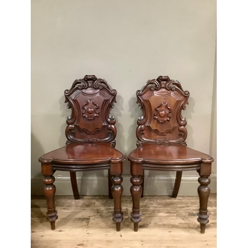 442 - A pair of Victorian mahogany heavily carved shield back hall chairs having acanthus cresting and on ... 