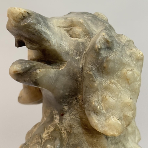 26 - An alabaster carved figure of a poodle, mouth open upon plinth on ebonised base, 19cm high