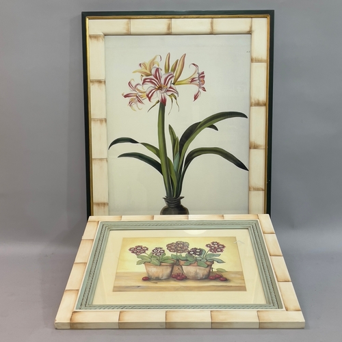 257 - Two decorative botanical still life colour prints of primula in terracotta pots and of amaryllis sup... 