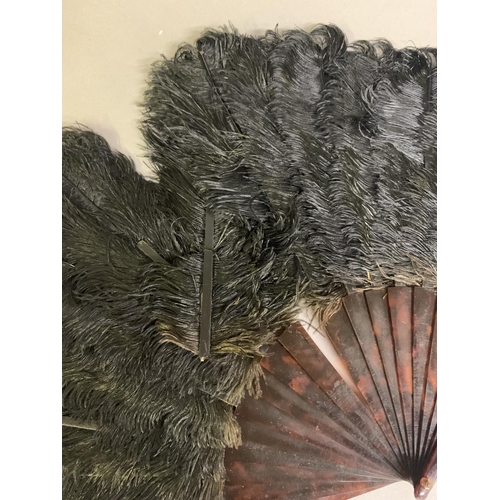 80 - A quite dramatic black and white shaded ostrich feather fan, the monture of bone, the feathers long,... 