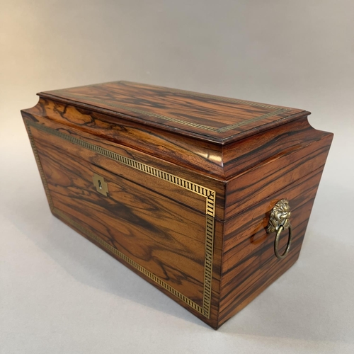 74 - A COROMANDEL WOOD AND BRASS INLAID TEA CADDY, early 19th century, of sarcophagus form with lion mask... 