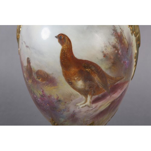 89 - A ROYAL WORCESTER CHINA WORKS TWO HANDLED PEDESTAL VASE, the ovoid body painted with Red Grouse in m... 