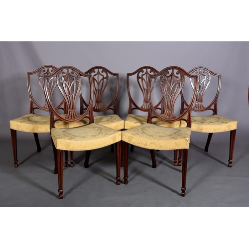 369 - A SET OF SIX GEORGE III MAHOGANY DINING CHAIR, the open shield back with vase shaped splat, dished s... 