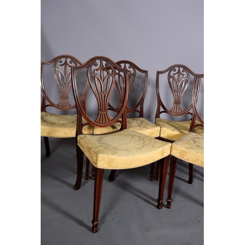 369 - A SET OF SIX GEORGE III MAHOGANY DINING CHAIR, the open shield back with vase shaped splat, dished s... 