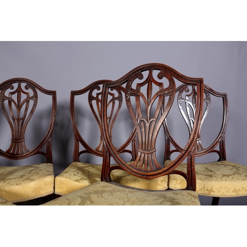 369 - A SET OF SIX GEORGE III MAHOGANY DINING CHAIR, the open shield back with vase shaped splat, dished s... 