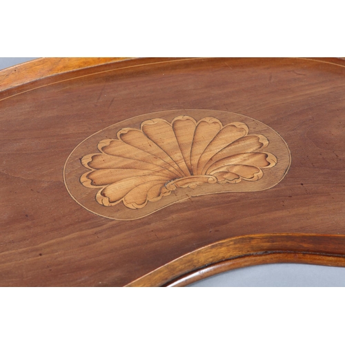 73 - AN EDWARD VII MAHOGANY AND SATINWOOD INLAID TWO HANDLED TRAY of kidney shape with gallery, inlaid to... 