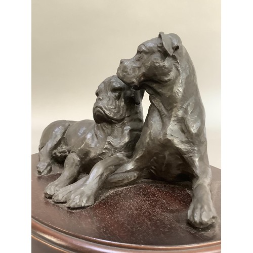 74 - A bronze effect group of two boxer dogs on an oval plinth, 30cm wide x 15cm high