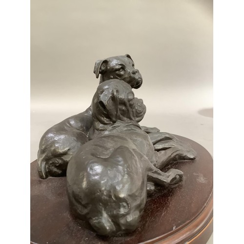 74 - A bronze effect group of two boxer dogs on an oval plinth, 30cm wide x 15cm high