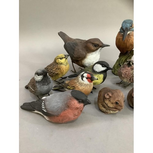 75 - A collection of model birds including Kingfisher, dipper, bullfinch and other garden birds and two d... 