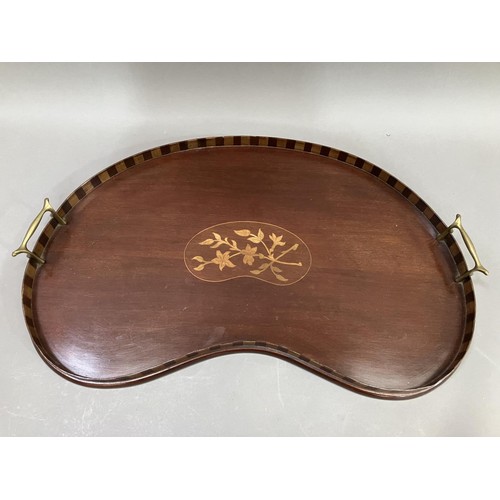 494 - An Edwardian mahogany and satinwood inlaid two handled tray of kidney shape, chequered gallery and f... 