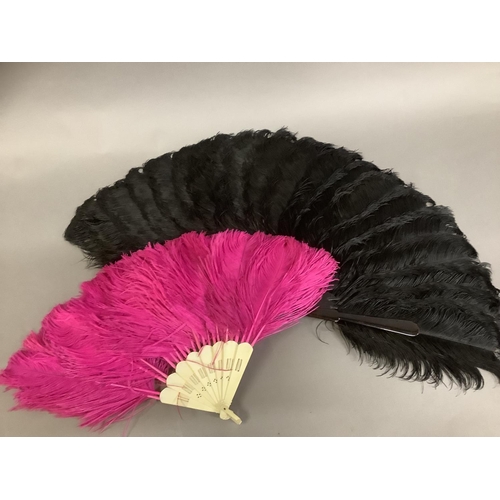 84 - A good black late 19th century ostrich feather fan, the monture of tortoiseshell, with good mottling... 