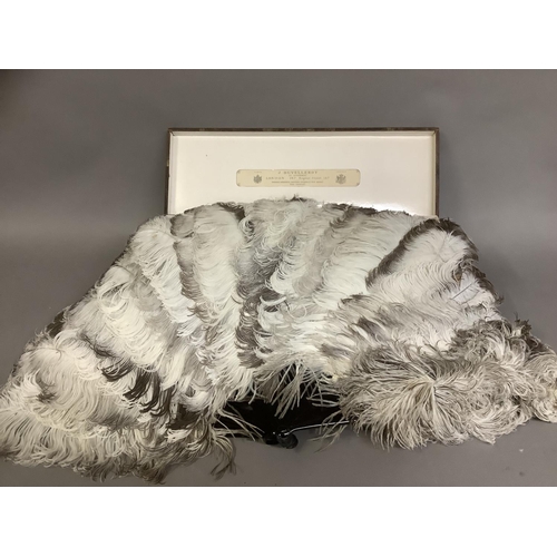 87 - C 1900, an ostrich feather fan, female, in original Duvelleroy fitted box, the monture tortoiseshell... 