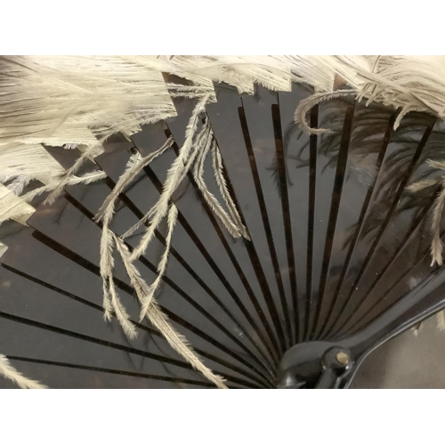 87 - C 1900, an ostrich feather fan, female, in original Duvelleroy fitted box, the monture tortoiseshell... 