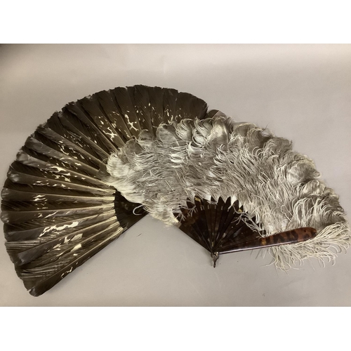 90 - A female ostrich feather fan, mounted on tortoiseshell, with curly feathers, overall height approx. ... 