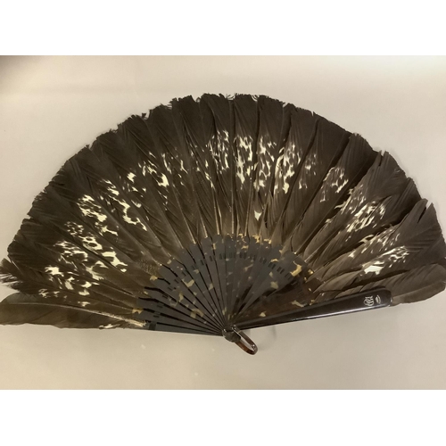 90 - A female ostrich feather fan, mounted on tortoiseshell, with curly feathers, overall height approx. ... 