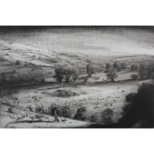 112 - ARR Piers Browne (b1942/49), Lovers and Walker: Pinker's Pond, Coverdale, black and white etching, n... 