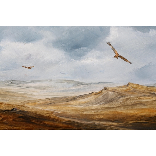 101 - Hood 20th/21st century, Red Kites above Moorland, oil on board, signed to lower left, 25cm x 40cm (S... 