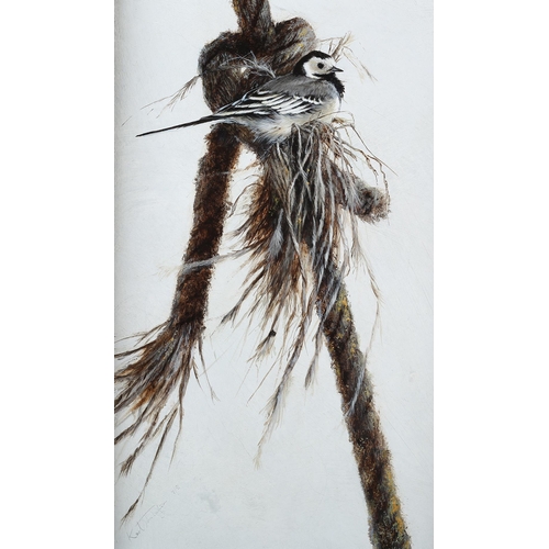 98 - ARR Karl Taylor (b 1964), Pied Wagtail, on a ferry boat rope, oil on board, signed and dated (19)91 ... 