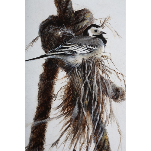 98 - ARR Karl Taylor (b 1964), Pied Wagtail, on a ferry boat rope, oil on board, signed and dated (19)91 ... 