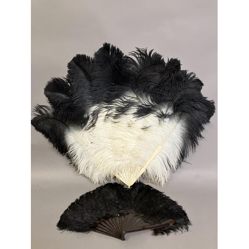 80 - A quite dramatic black and white shaded ostrich feather fan, the monture of bone, the feathers long,... 