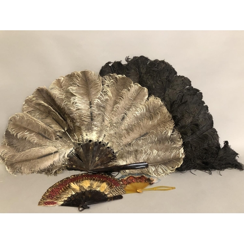 82 - Feather fans: Two ostrich feather fans, the first black, with curly feathers and additional feather ... 